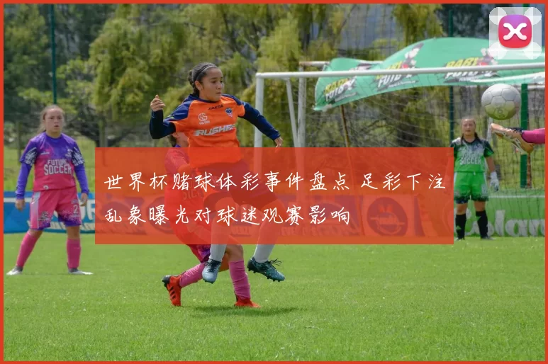 世界杯赌球体彩事件盘点 足彩下注乱象曝光对球迷观赛影响