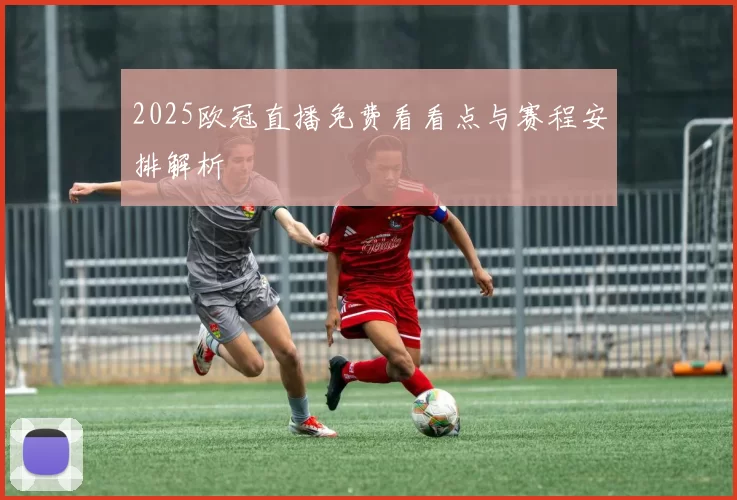 2025欧冠直播免费看看点与赛程安排解析